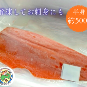 冷凍四国サーモン半身　【約500g】※送料無料